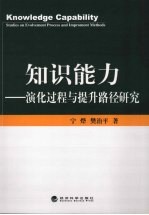 知识能力 深化过程与提升路径研究