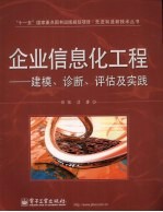 企业信息化工程 建模、诊断、评估及实践