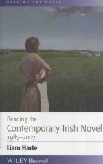 reading the contemporary irish novel 1987-2007