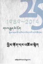 回顾与探索：藏文