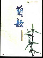 兰韵 兰花赏析及栽培技艺