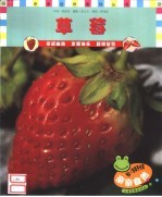 草莓