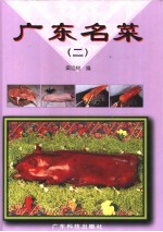 广东名菜 图集 2