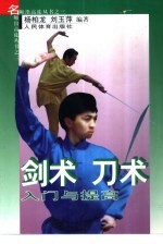 剑术 刀术入门与提高