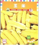 玉米
