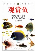 观赏鱼