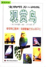 宠物喂养与训练 观赏鸟