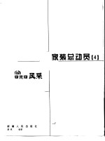 家装总动员 4