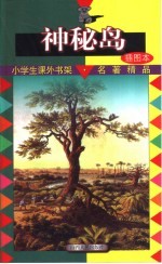小学生课外书架·名著精品 神秘岛