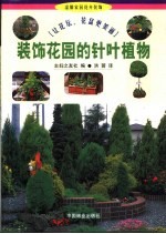 装饰花园的针叶植物 让花坛、花盆更美丽