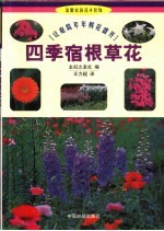 四季宿根草花 让庭院年年鲜花盛开