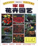 家庭花卉园艺