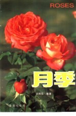 月季