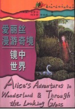 爱丽丝漫游奇境 镜中世界