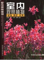 室内观赏植物 装饰 养护 欣赏