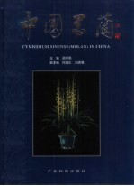 中国墨兰