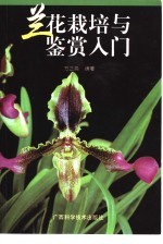 兰花栽培与鉴赏入门