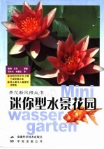 迷你型水景花园
