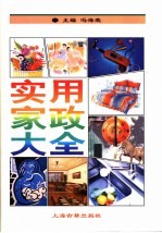 实用家政大全