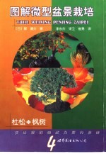 图解微型盆景栽培 4 杜松·枫树