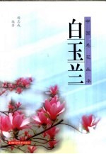 白玉兰