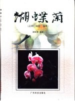蝴蝶兰 品种 栽培 鉴赏