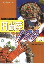 时尚菜120例