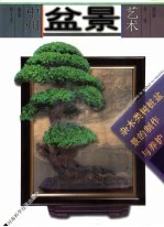 中州盆景艺术 杂木类树桩盆景的制作与养护