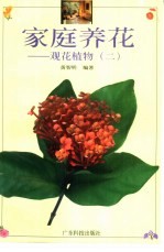 家庭养花 观花植物 2