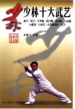 少林十大武艺