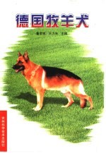 德国牧羊犬