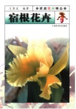 宿根花卉