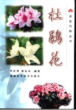 杜鹃花