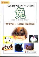 宠物喂养与训练 兔