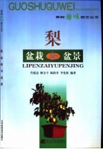 梨盆栽与盆景