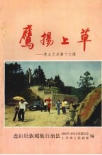 连山文史 第十六辑 鹰扬上草