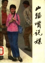 山猫嘴说媒 中篇评书选