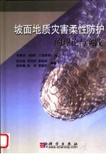 坡面地质灾害柔性防护的理论与实践