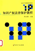 知识产权法律保护教程