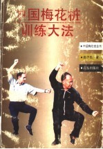 中国梅花桩训练大法