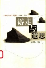 游走与遐思