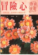 冒险心