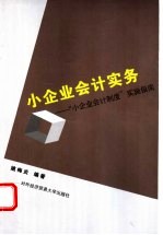 小企业会计实务 “小企业会计制度”实施指南
