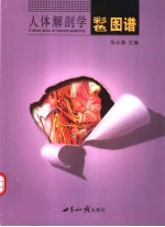 人体解剖学彩色图谱 中英文本