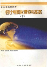 会计电算化理论与实务 下