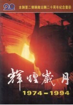 辉煌岁月 1974-1994