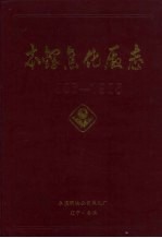 本钢焦化厂志