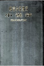 晚清小说期刊 小说林 第4-6期