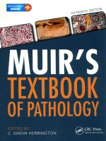 MUIR'S TEXTBOOK OF PATHOLOGY FIFTEENTH EDITION