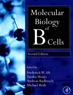 MOLECULAR BIOLOGY OF B CELLS SECOND EDITION